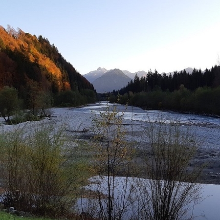 Hundetreffen 2019 im Allgäu (4)